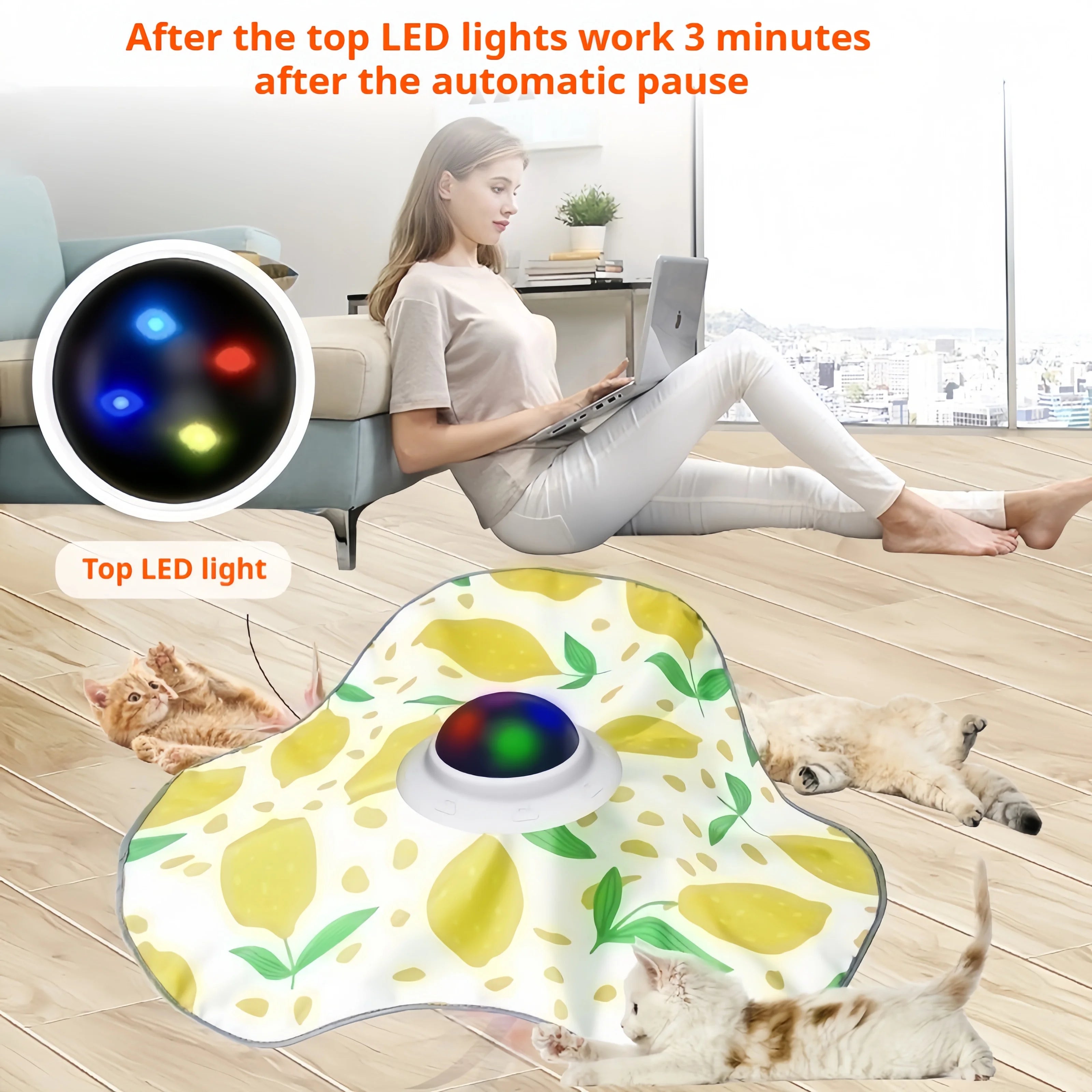 Interactive Rechargeable Cat Toy by Snagg A Toy