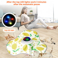 Interactive Rechargeable Cat Toy by Snagg A Toy