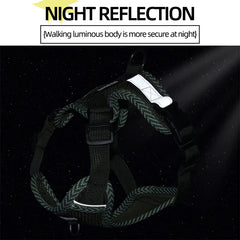 Reflective Cat & Dog Harness & Leash Set by Snagg A Harness