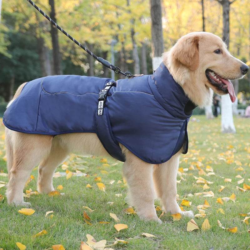 Autumn & Winter Warm Dog Jacket - SnaggIt
