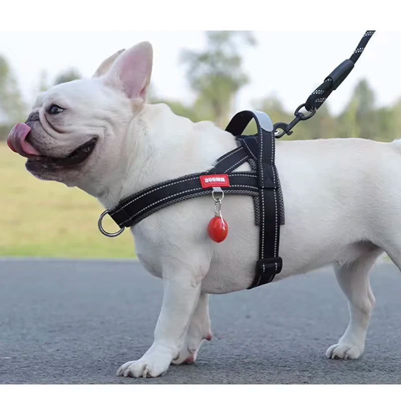 Saddle-Style Dog Harness – Padded Quick-Release Chest Strap for Small, Medium & Large Dogs