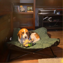Outdoor Camping Foldable Pet Bed by Snagg A Pet Lounge