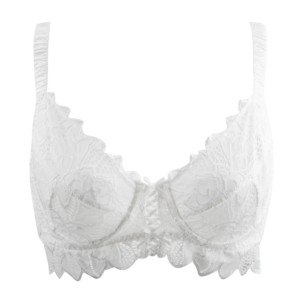 Plus Size Lace Mesh Bra | Underwire Push Up Full Coverage Unpadded
