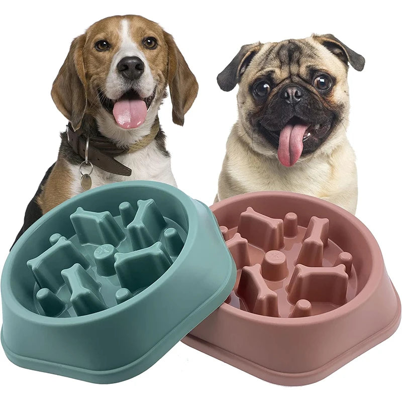 Slow Feeder Dog Bowl by Snagg A Feeder