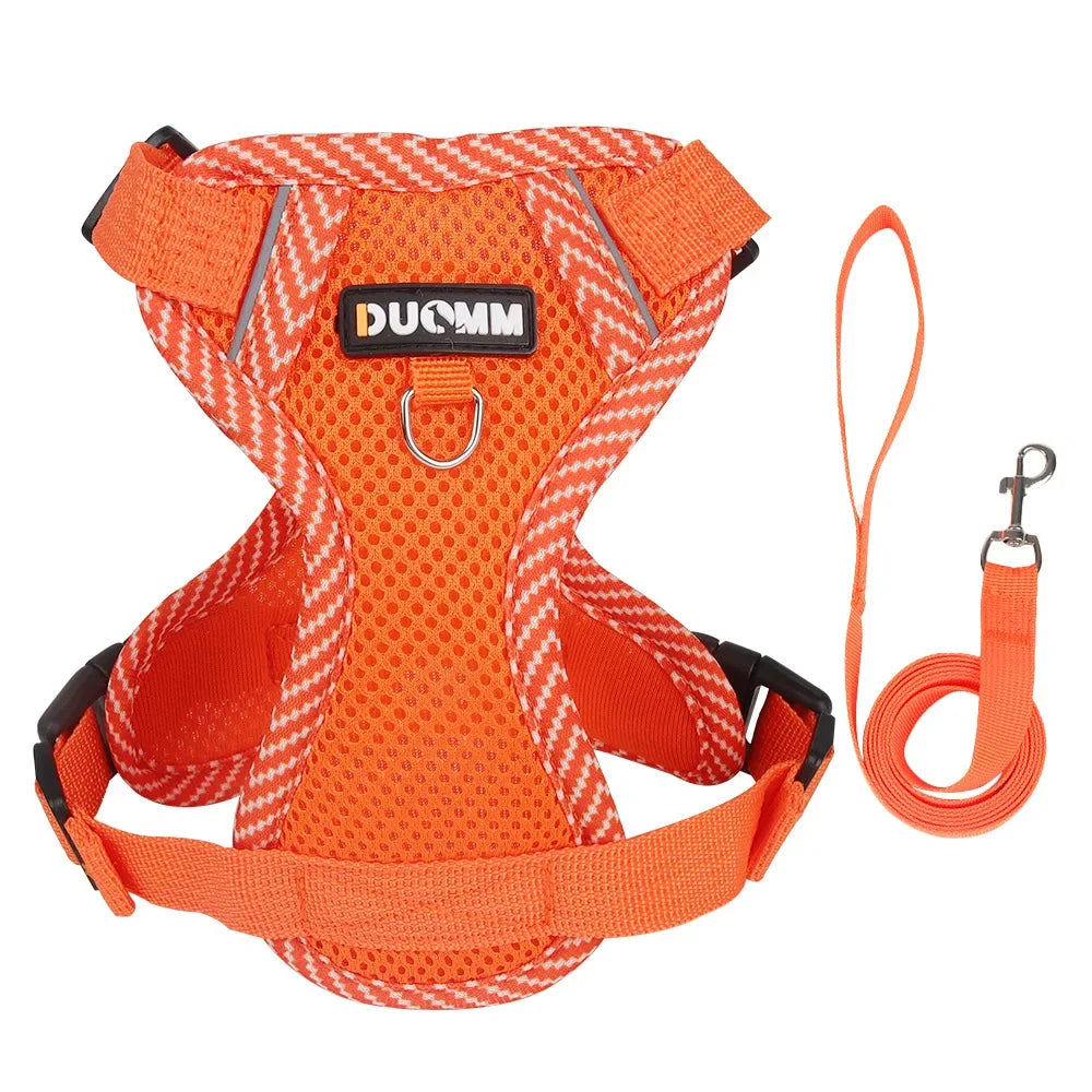 Orange Reflective Cat & Dog Harness & Leash Set by Snagg A Harness