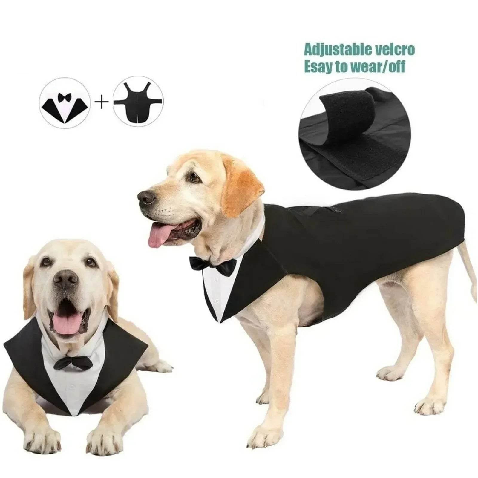 Dog Tuxedo Costume - SnaggIt