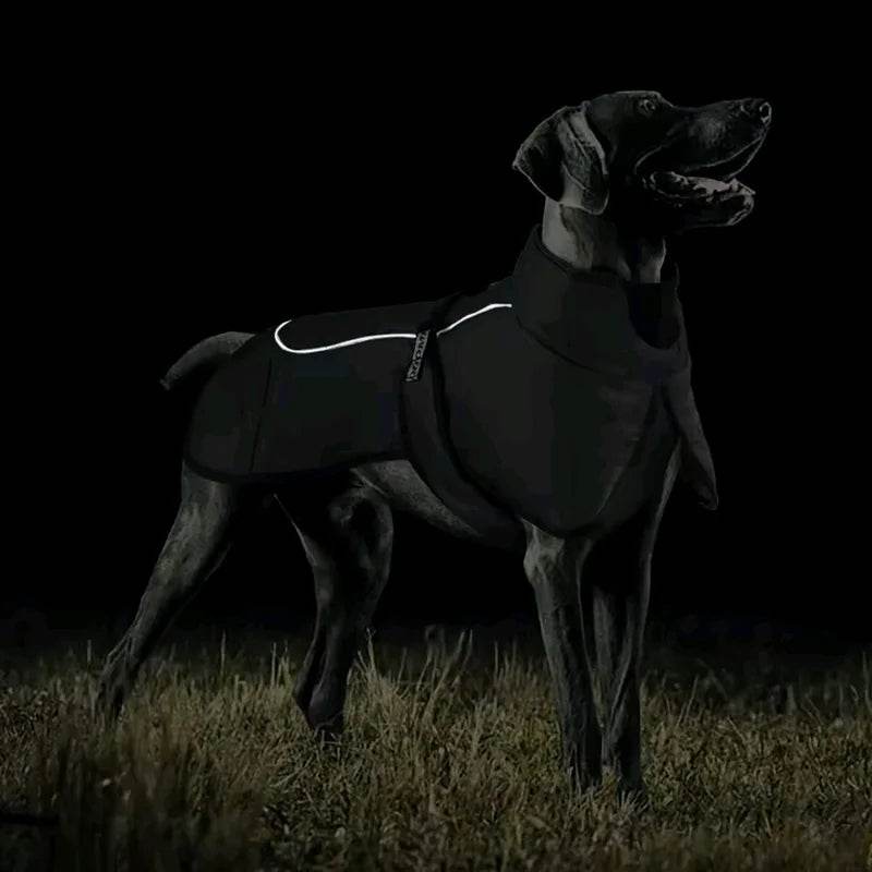 Autumn & Winter Warm Dog Jacket - SnaggIt