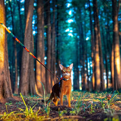 Adjustable Cat Harness and Leash Set - SnaggIt