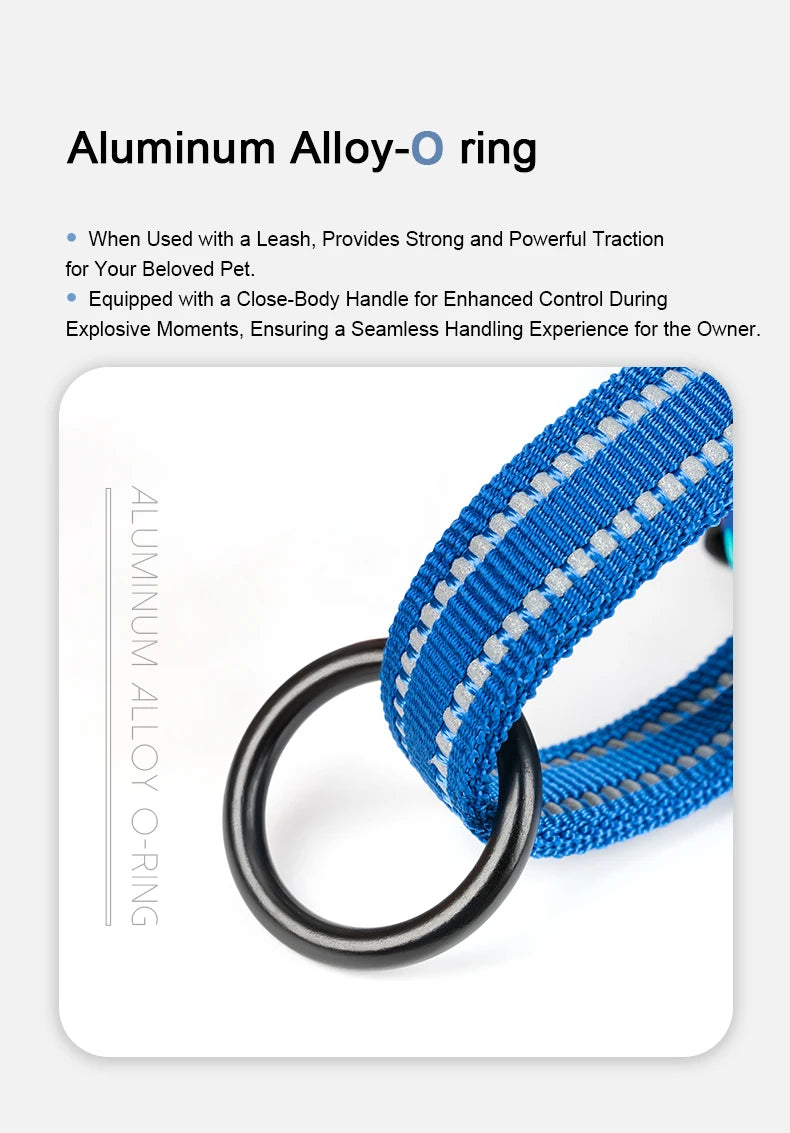 Floral Print Mesh Padded Dog Harness by Snagg A Harness