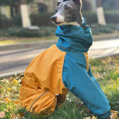 Waterproof 4 Leg Fleece Winter Jacket for Italian Greyhound