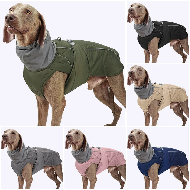 Winter Waterproof Dog Jacket by Snagg A Jacket