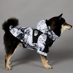 Waterproof Windbreaker Dog Raincoat – Lightweight Hooded Jacket for All Breeds