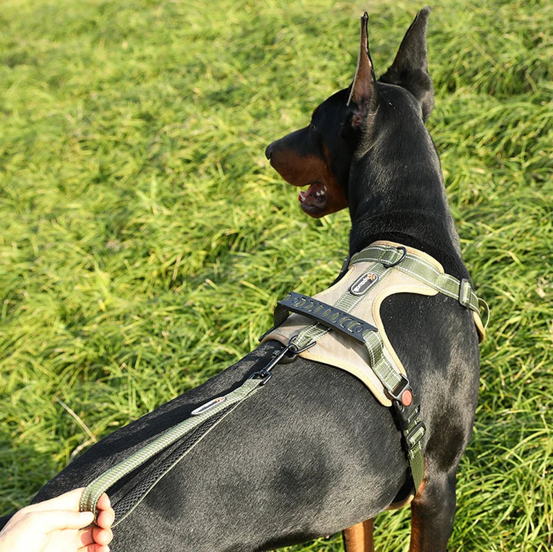 Adjustable Reflective Dog Harness by Snagg A Harness