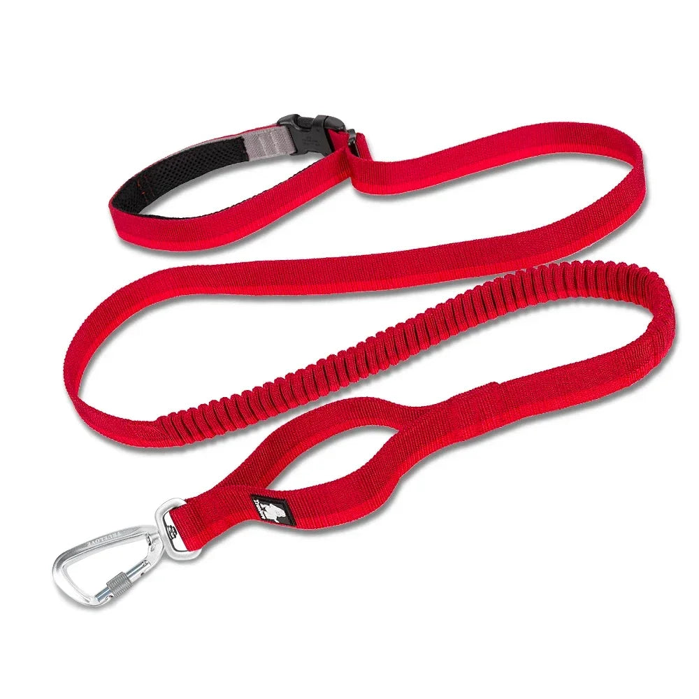 Hands-Free Bungee Dog Leash with Adjustable Waist Belt by Snagg A Leash