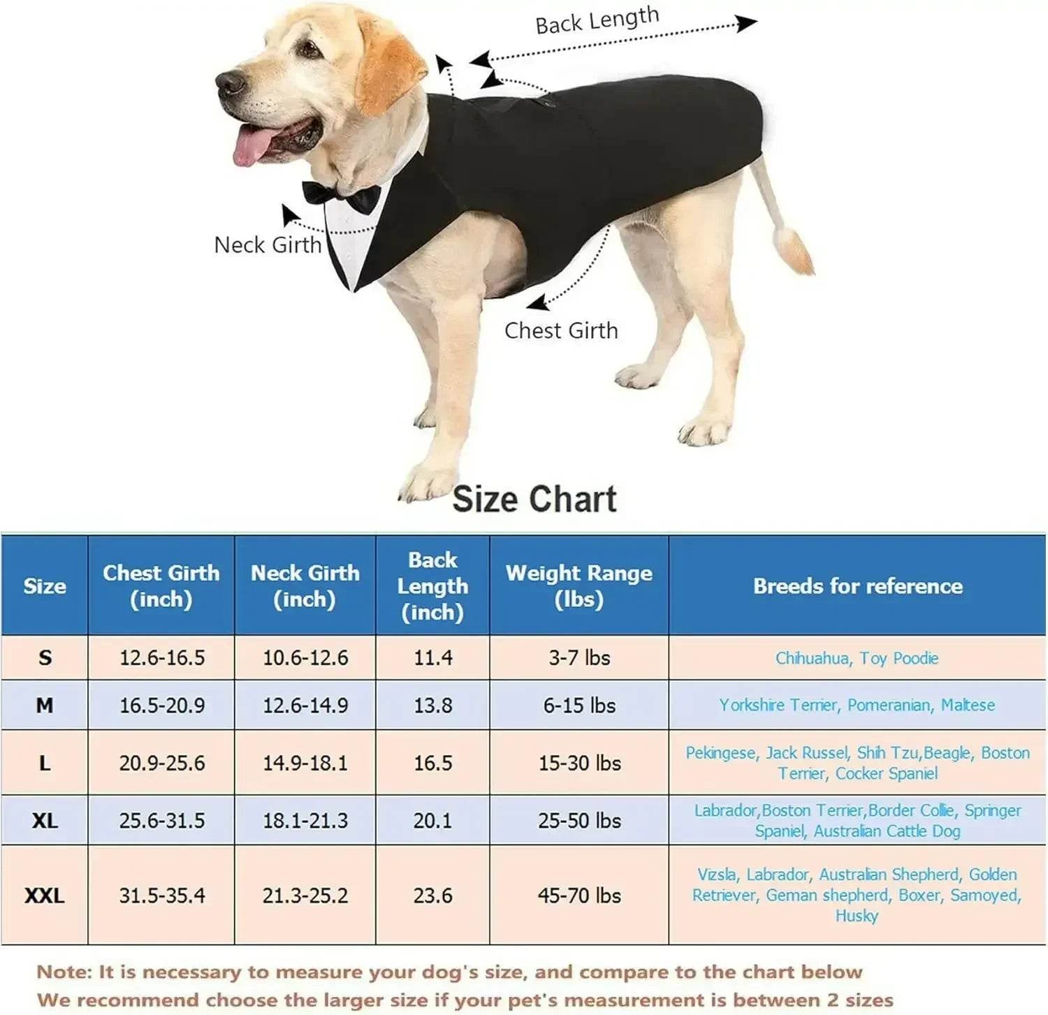 Dog Tuxedo Costume - SnaggIt