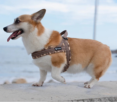 Floral Print Mesh Padded Dog Harness by Snagg A Harness