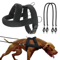 Adjustable Dog Weight Pulling Training Harness & Leash by Snagg A Harness