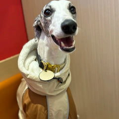 Winter Snow Guard 4 Legged Plush Dog Jacket