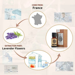 Pure Botanical Extract – 100% Pure Essential Oil for Sleep, Skin Repair & Aromatherapy