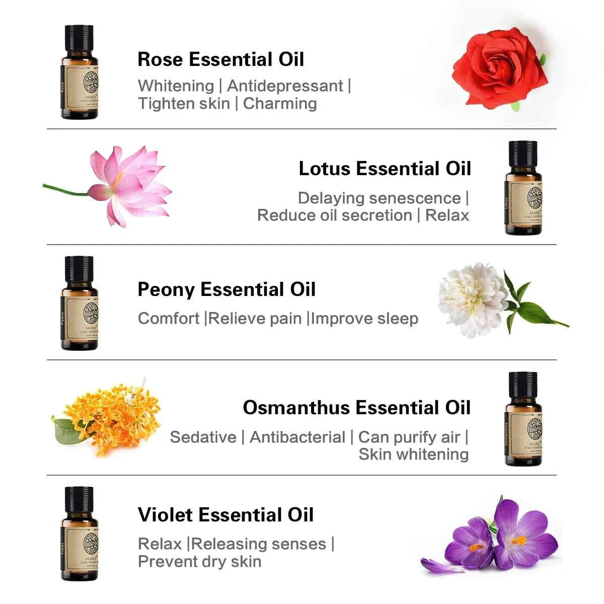 10 Bottle Floral Master Collection – 100% Pure 10ml Botanical Set for Diffusion, Spa & Artisanal Crafting