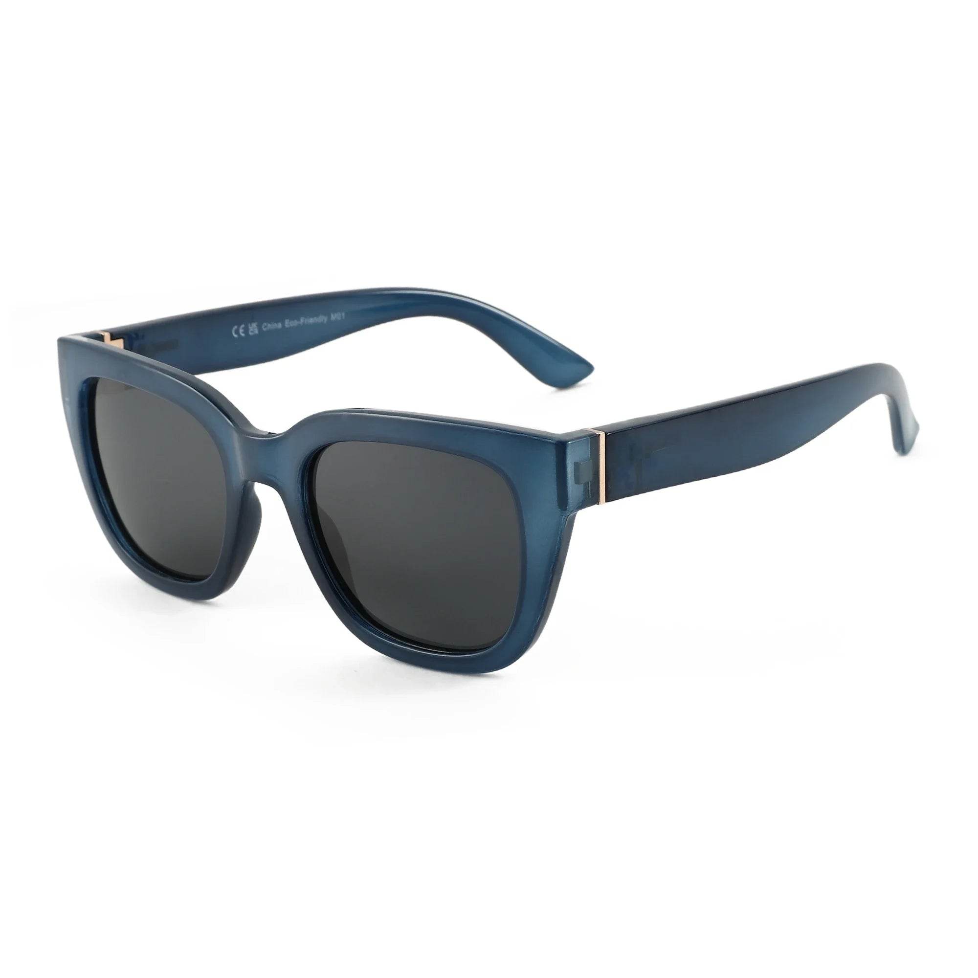 2025 Polarized Sunglasses - SnaggIt