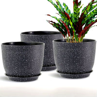 6pcs 10" Plastic Planter Set with Trays by Snagg A Pot