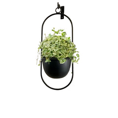 Vintage Black Metal Wall Planter by Snagg A Pot
