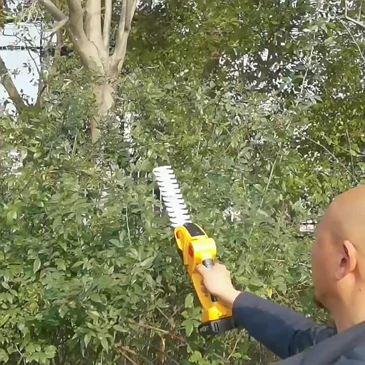 2-in-1 Cordless Grass & Hedge Trimmer