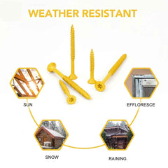 310 / 500 Pcs Outdoor Deck Screw Set - Power Tools Gadget