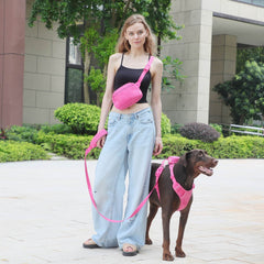 Corduroy Dog Walking Set - SnaggIt