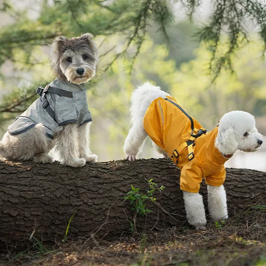 Waterproof Dog Rain Jacket with Harness – Safety Reflective Outdoor Raincoat for Small Dogs (Jungle & Camping)