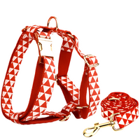 Heavy Duty Dog Harness & Leash Set by Snagg A Harness