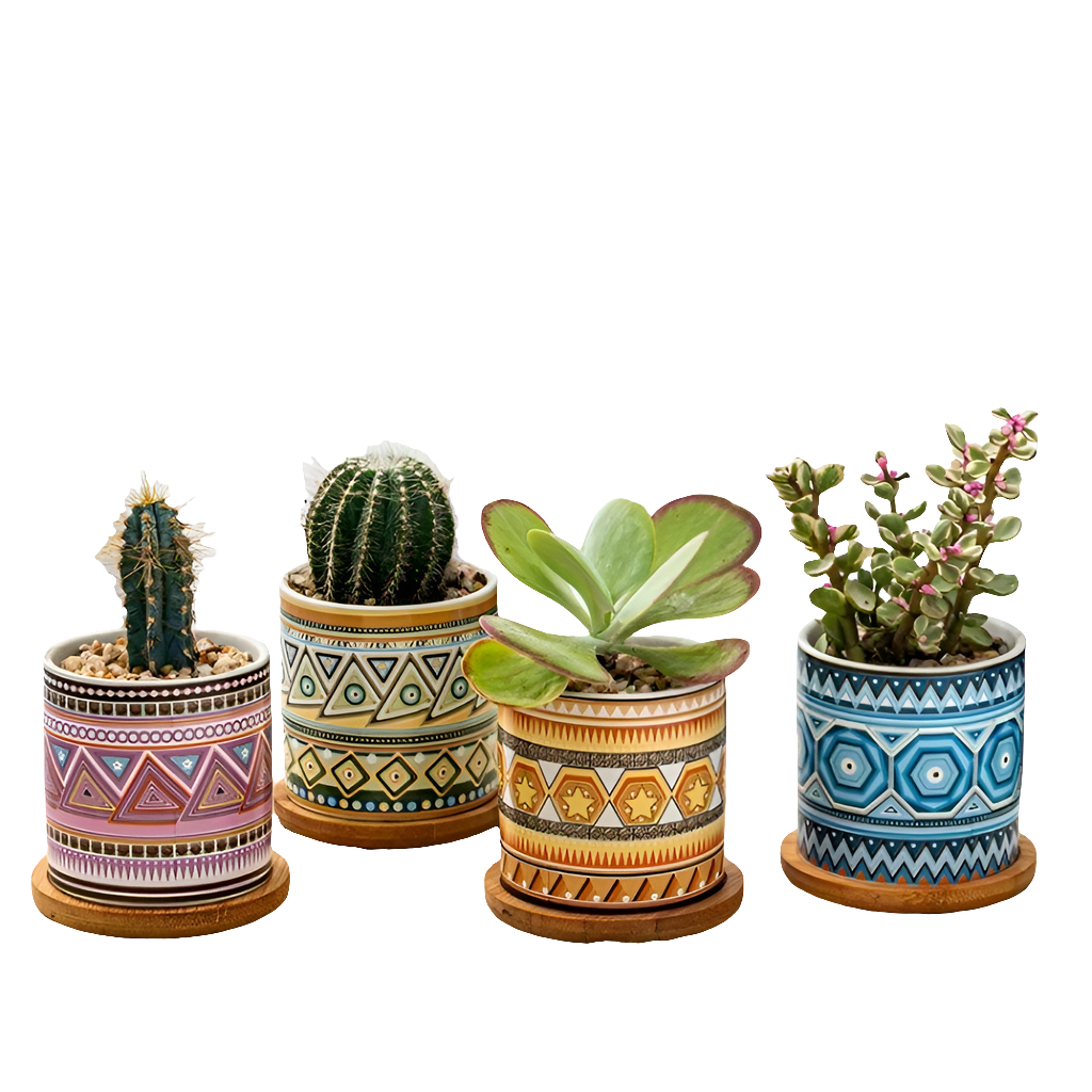 4 Pcs Ceramic Succulent Pots with Drainage by Snagg A Pot