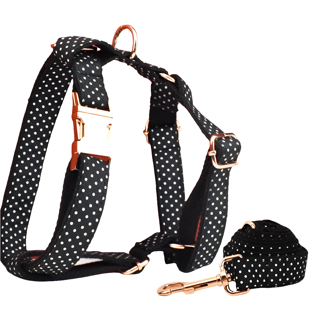 Heavy Duty Dog Harness & Leash Set by Snagg A Harness