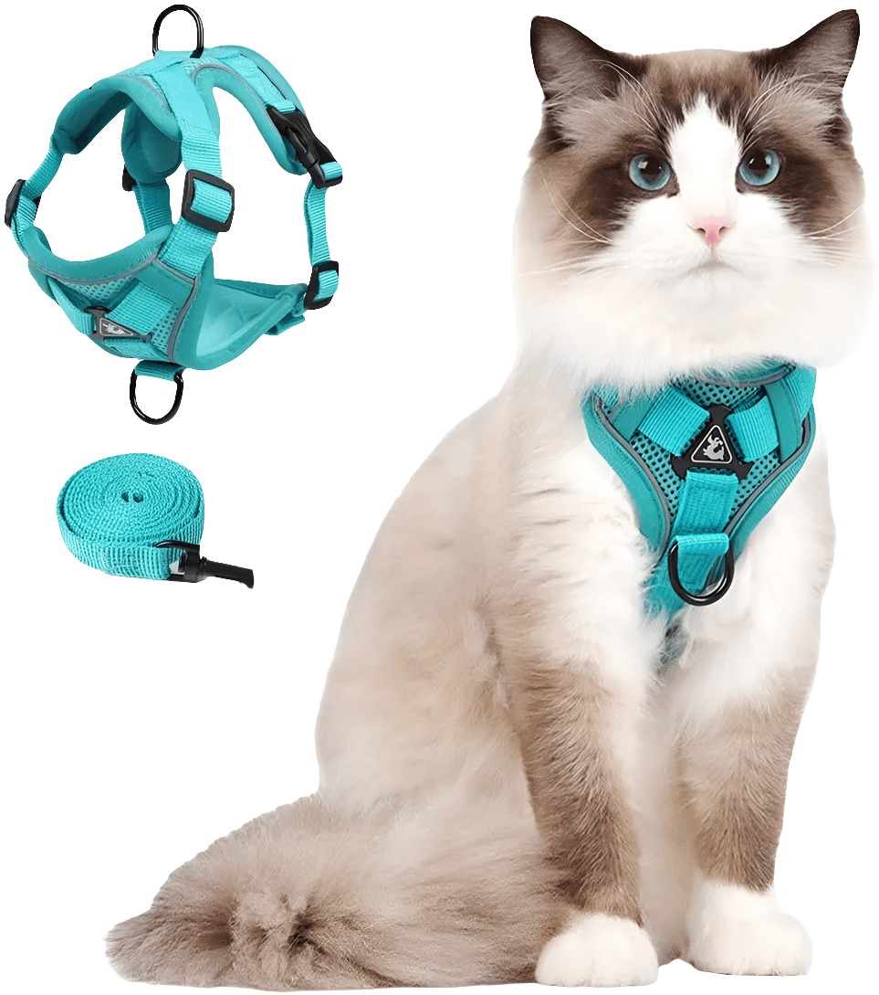 Cat Harness and Leash Set - SnaggIt