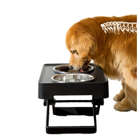 Adjustable Height Dog Bowl Stand with Stainless Steel Bowls by Snagg A Feeder