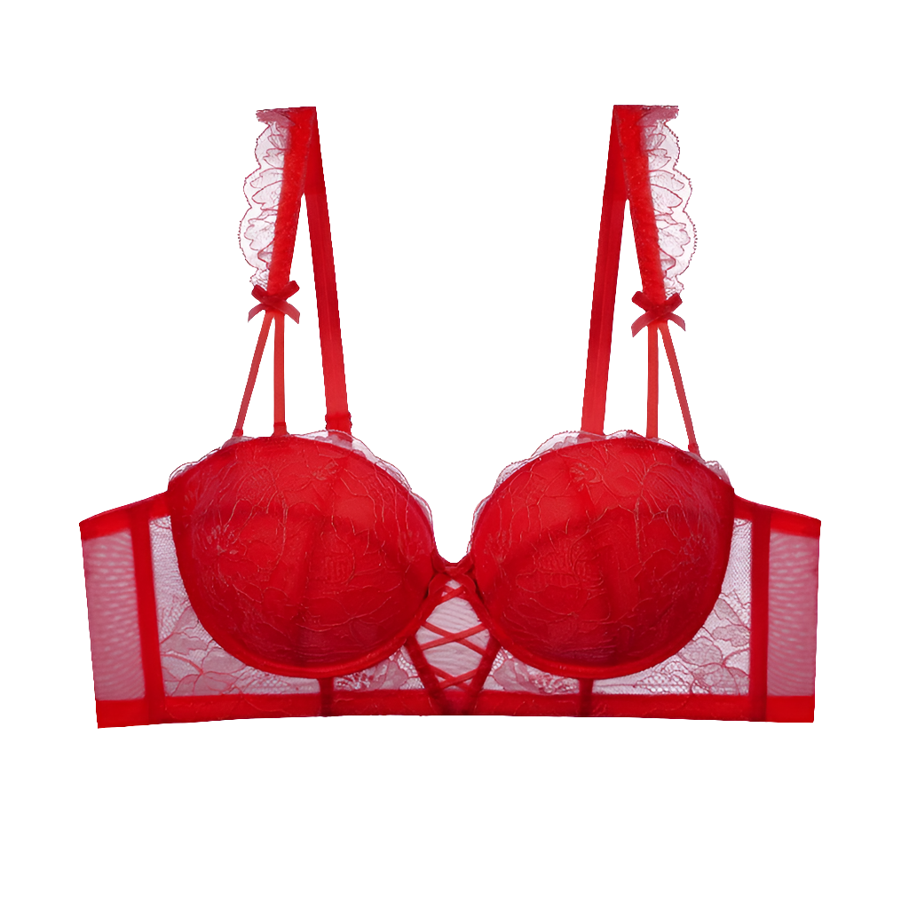 Women’s Sexy Push-Up Lace Bra by Snagg A Bra