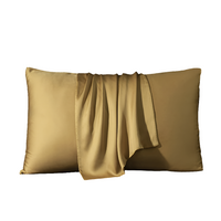 2 Pcs Real Silk Pillowcase – 100% Natural Silk by Snagg A Cushion Cover