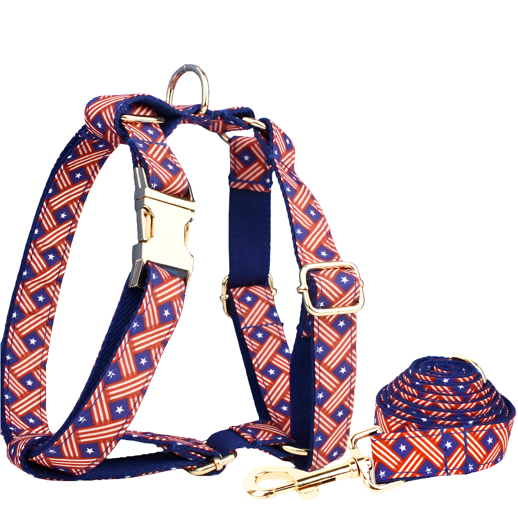 Heavy Duty Dog Harness, Collar & Leash Set by Snagg A Harness