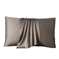 2 Pcs Real Silk Pillowcase – 100% Natural Silk by Snagg A Cushion Cover