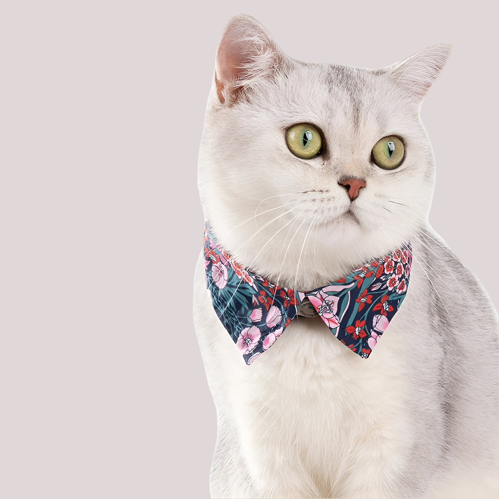 Floral Pet Collar with Bow by Snagg A Pet Collars