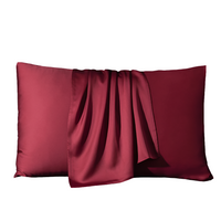 2 Pcs Real Silk Pillowcase – 100% Natural Silk by Snagg A Cushion Cover