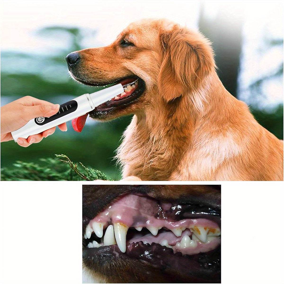 1pc Pet Oral Care Electric Tooth Cleaner - SnaggIt