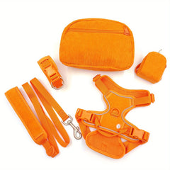 Corduroy Dog Walking Set - SnaggIt