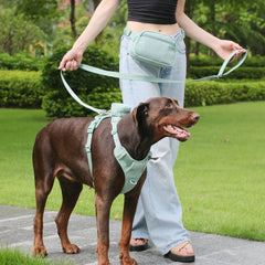 Corduroy Dog Walking Set - SnaggIt