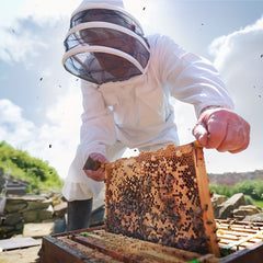 Professional Beekeeping Suit by Snagg A Beekeeping Suit