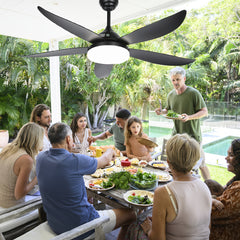 52" Outdoor Ceiling Fan with Light & Remote by Snagg A Fan
