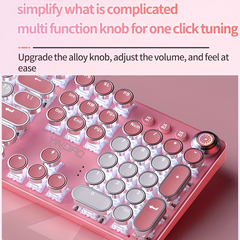 Pink Mechanical Keyboard – Retro Punk Keycaps with Blue Switches by Snagg A Keyboard