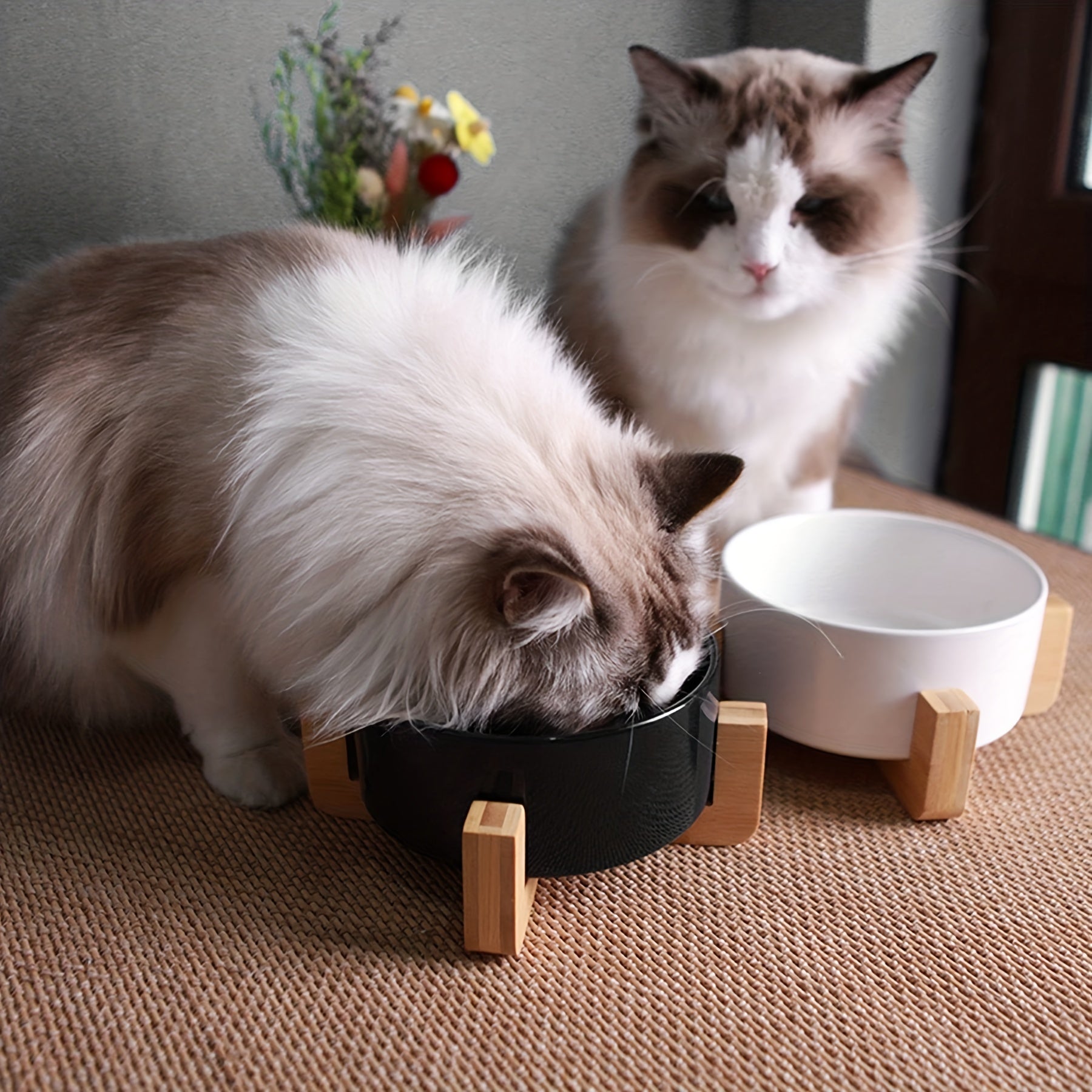 Non-Slip Ceramic Double Pet Food Bowl with Bamboo Stand by Snagg A Feeder