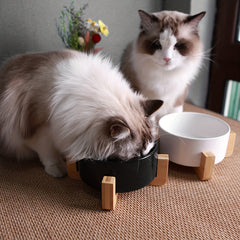Non-Slip Ceramic Double Pet Food Bowl with Bamboo Stand by Snagg A Feeder